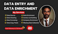 professional data entry and data enrichment service