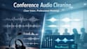 do professional audio cleaning noise reduction