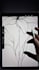 create lily procreate brush stamps for digital art