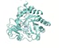 run up to 100ns molecular dynamics simulation of a protein ligand complex