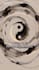 first guide you to understand chinese destiny numerology