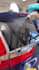 design converting instagram posts and reels for your automotive brand
