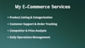 manage and optimize your ecommerce operations professionally