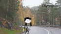 do 2d stickman animation explainer videos realastically