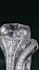 create engagement ring cad with stl  3dm and photorealistic render
