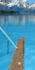 develop a unity 2d or 3d game for android, ios, PC, and webgl