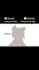create interactive rive animation lottie animation web app svg gif animation