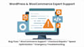 troubleshoot and fix wordpress woocommerce issues