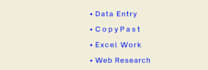 data entry copy paste excel work