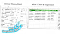 organize your data professionally