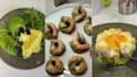 create ugc food content