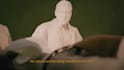 3d animation and video editing in fern style documentary