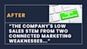 edit and improve business reports, research writing, and case studies