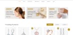 build a professional shopify ecommerce website store