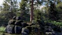 design unity 3d game environment, unity level design game map, unity terrain map