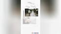 design professional social media posts, stories and reels