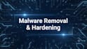 audit and harden your wordpress site against security vulnerabilities