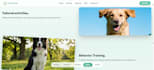 build websites, full stack, user interactive, engaging web dev