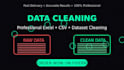 professionally clean and organize your data in excel