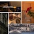 design professional canva social media posts and graphics