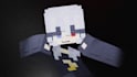 make an minecraft animation for you
