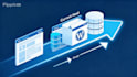 help to build wordpress site