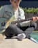 teach you bebop, neo soul and rock on guitar