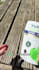 create engaging high quality pet ugc