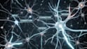 create an ai elearning course and explainer video