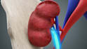 create realistic 3d medical animation