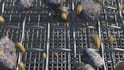 create realistic 3d industrial asphalt mixing plant and machinery