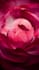 do custom  3d flower animation and realistic floral visuals