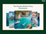 3d interactive website 3d animated webflow spline three js webgl gsap next js ar