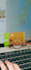 customize wordpress theme and fix website issues