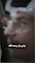 add subtitles and translate your videos