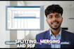do excel data entry, cleaning, formatting, merging, splitting and PDF conversion