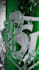 do 3d beverage animation 3d can animation liquid and water simulation 3d soda