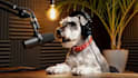 create viral ai talking animal video, dog lip sync shorts video