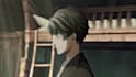 provide professional character edits