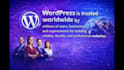 build SEO optimized wordpress website using divi builder