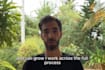 build your production ready saas mvp with nextjs and nodejs
