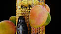 create realistic wine animation that sells your bottled product fast