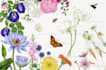 create a digital watercolor botanical illustration of flowers, plants, fruits
