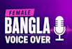 record professional bangla voice over for you