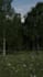 make 3d photorealism nature scene