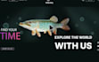 create character mascot rive, lottie animations web and app