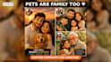 create a custom 3d animated cartoon portrait from your photo