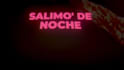 make a premium animated lyric video for reggaeton or trap song