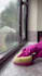 create ugc ads cleaning lifestyle