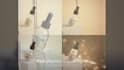 create 3d cosmetic product animation with real liquid simulation